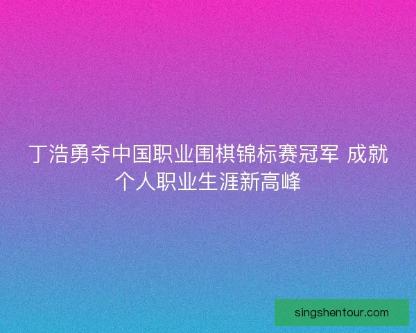 丁浩勇夺中国职业围棋锦标赛冠军 成就个人职业生涯新高峰
